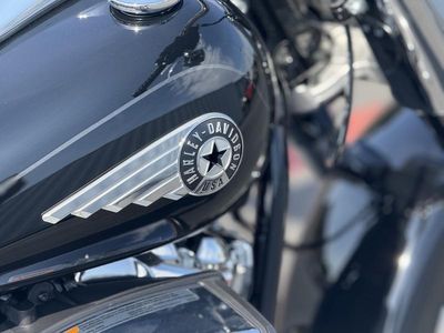 2025 Harley-Davidson FLFB - Fat Boy - Photo 14
