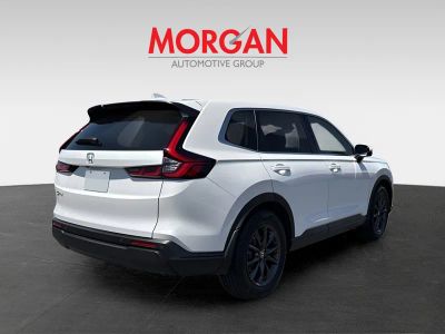 2026 Honda CR-V — rear three-quarter view