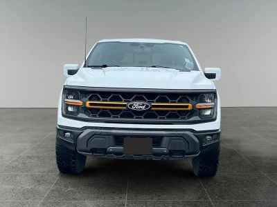 2025 Ford F-150 — side profile view