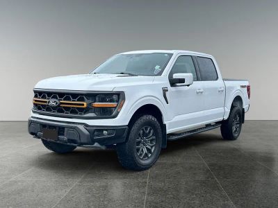 2025 Ford F-150 — rear three-quarter view