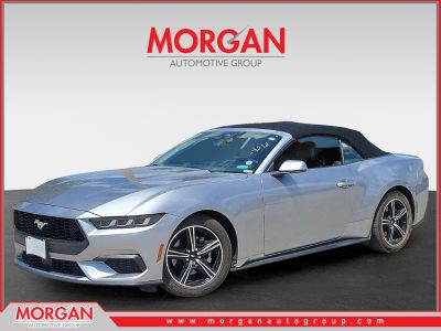 2024 Ford Mustang EcoBoost Premium in Silver Metallic — front three-quarter view