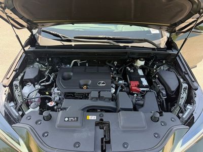 2024 Lexus NX 250 Premium - Photo 16