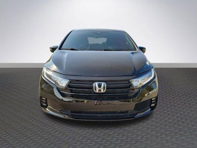 2023 Honda Odyssey - Photo 2