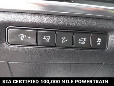 2023 Kia Telluride - Photo 18