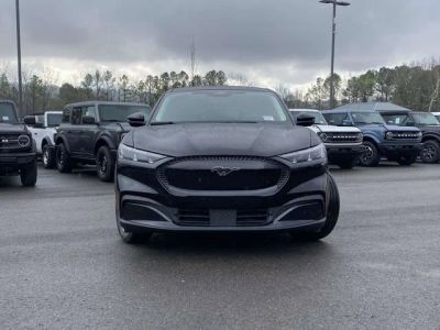 2026 Ford Mustang Mach-E - Photo 8
