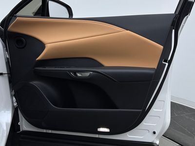 2025 Lexus RX - Photo 32