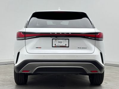 2025 Lexus RX - Photo 6