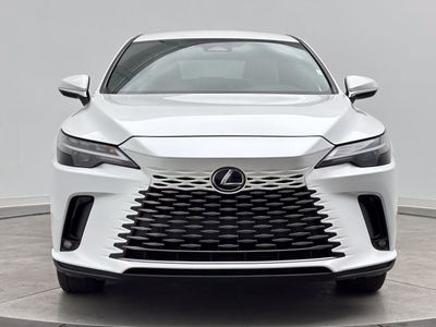 2025 Lexus RX - Photo 2