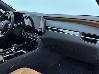 2025 Lexus RX - Photo 33