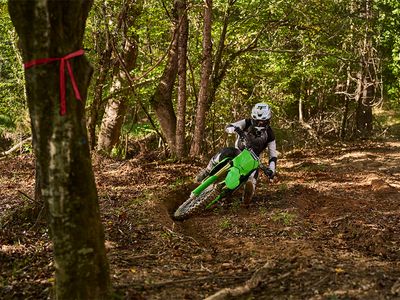 2026 Kawasaki KX450X - Photo 8