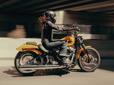 2025 Harley-Davidson Street Bob - Photo 11
