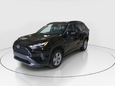 2025 Toyota RAV4 - Photo 3