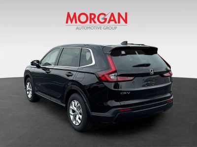 2026 Honda CR-V — detail view