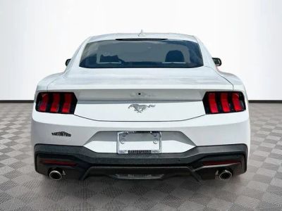 2025 Ford Mustang — detail view
