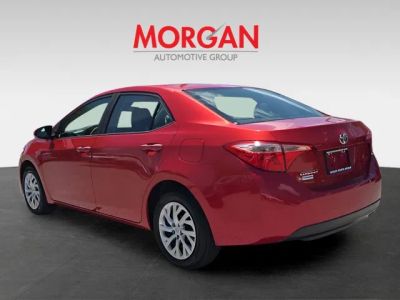 2019 Toyota Corolla — engine compartment view
