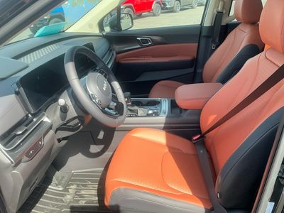 2026 Kia Carnival - Photo 10