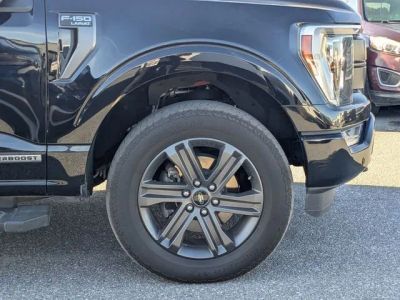 2023 Ford F-150 — photo 8 view