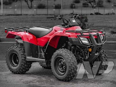 2025 Honda FourTrax Recon ES - Photo 1
