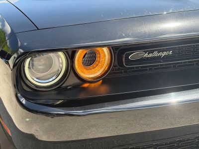2019 Dodge Challenger — photo 31 view