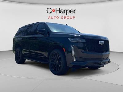 2024 Cadillac Escalade Sport in Black Raven — front three-quarter view