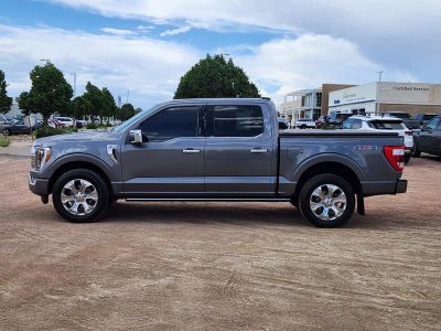 2021 Ford F-150 — side profile view