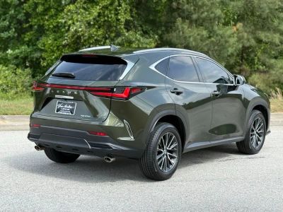 2024 Lexus NX - Photo 11