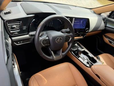 2024 Lexus NX - Photo 3