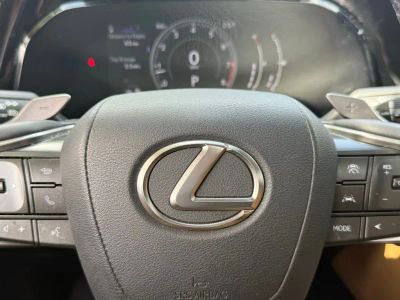 2024 Lexus NX - Photo 28