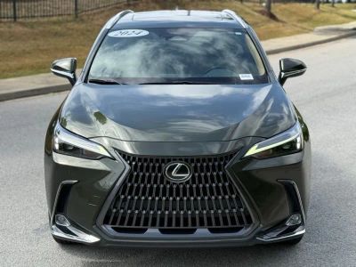 2024 Lexus NX - Photo 6