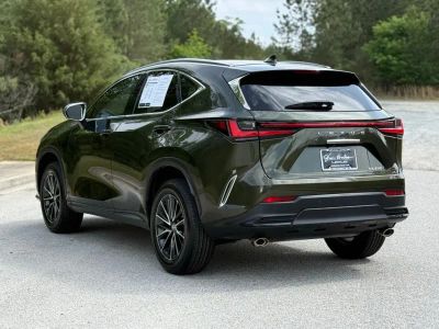2024 Lexus NX - Photo 9
