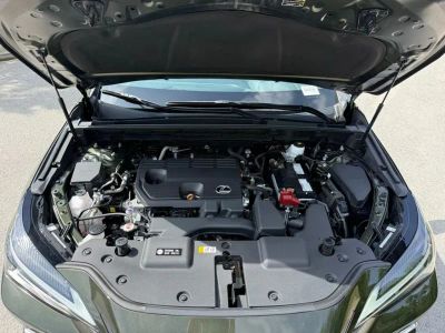 2024 Lexus NX - Photo 16