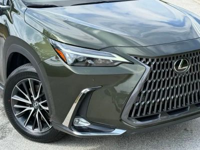 2024 Lexus NX - Photo 4