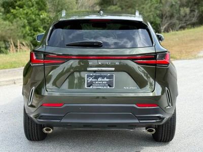 2024 Lexus NX - Photo 10