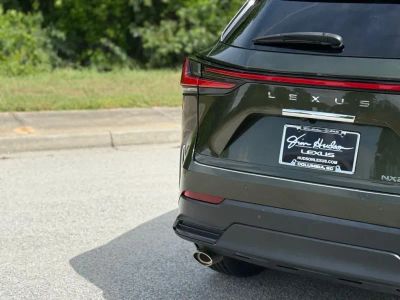 2024 Lexus NX - Photo 12