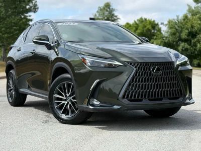 2024 Lexus NX - Photo 1