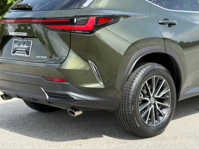 2024 Lexus NX - Photo 13