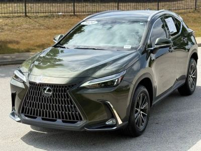 2024 Lexus NX - Photo 7