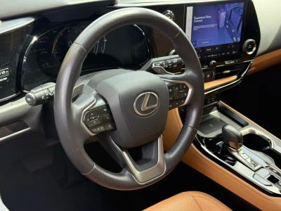 2024 Lexus NX - Photo 17