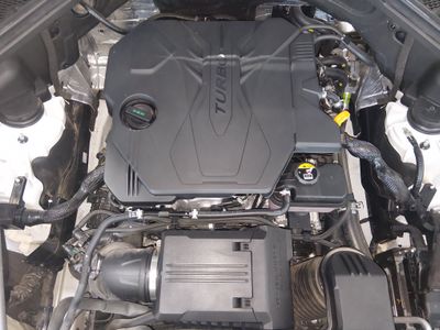 2025 Genesis GV80 - Photo 9