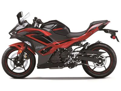 2024 Kawasaki Ninja 500 ABS - Photo 2