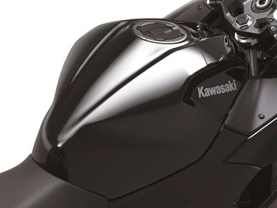 2024 Kawasaki Ninja 500 ABS - Photo 5