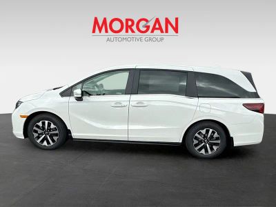 2026 Honda Odyssey — interior view