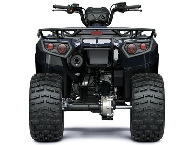 2026 Kawasaki Brute Force 300 - Photo 5