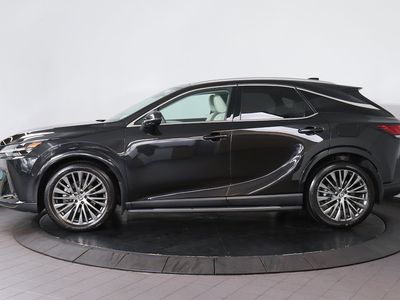 2024 Lexus RX - Photo 2