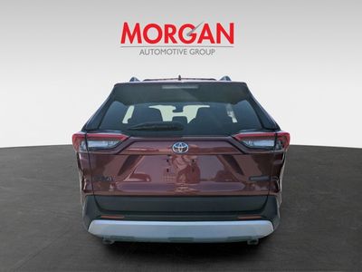 2019 Toyota RAV4 - Photo 4