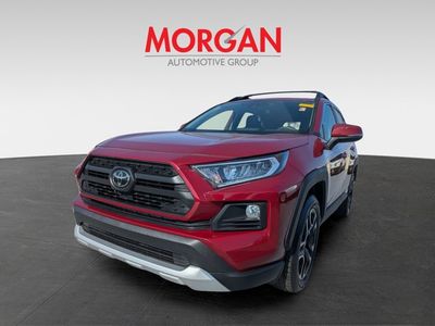 2019 Toyota RAV4 - Photo 7