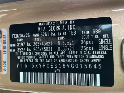 2027 Kia Telluride — photo 26 view