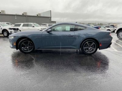 2026 Ford Mustang - Photo 14