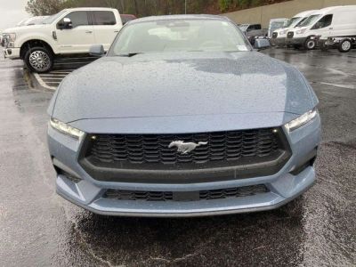 2026 Ford Mustang - Photo 15