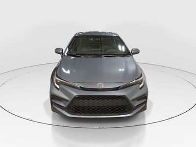 2024 Toyota Corolla - Photo 2